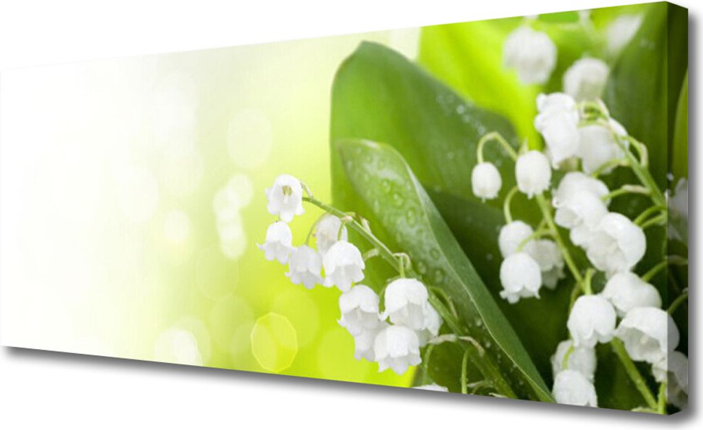 Tulup Leinwand-Bilder 125x50 Wandbild Canvas Kunstdruck Maiglöckchen Blätter Pflanzen