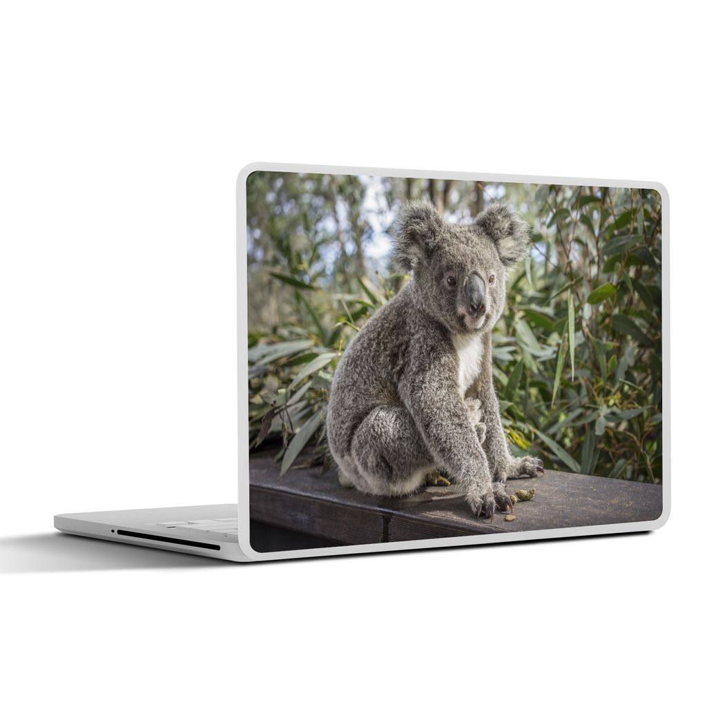 MuchoWow Laptop Aufkleber Sticker Cover Koala - Regal - Pflanzen - Kinder - Jungen - Mädchen 31x22.5 cm - Laptop-Deko