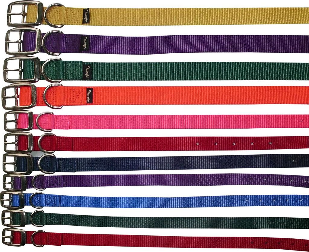 Hundehalsband Prism Choice aus Nylon 1,9 cm breit Halsband für Hunde Halsband Hund in Blau & 13