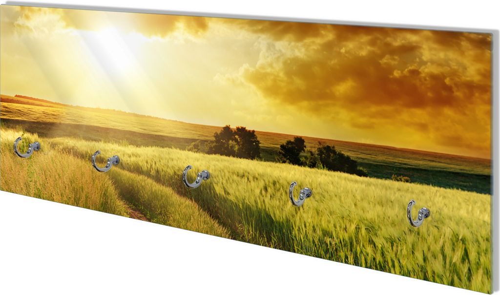 Wallario Flurgarderobe Wandgarderobe aus Glas, mit 5 Haken, Größe 80 x 30 cm, Motiv Feldweg in den Sonnenuntergang