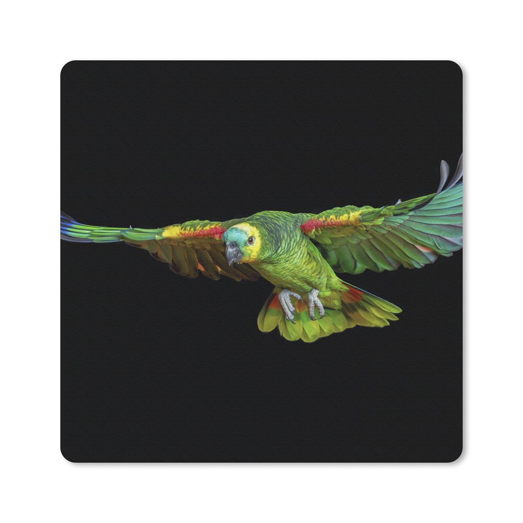 MuchoWow Mauspad Mousepad Papagei - Vogel - Federn 20x20 cm - Mousepads - Maus Mat - Pad - Mausunterlage - Desk Mat - Bureauartikeln