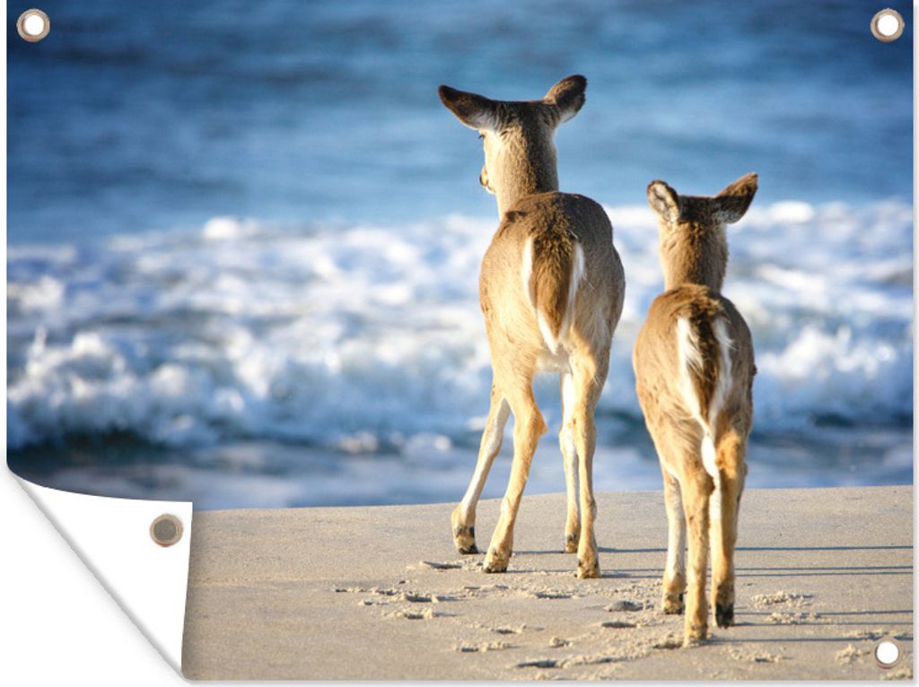 MuchoWow 80x60 cm Outdoor-Poster Gartendeko Sichtschutz Garten Poster für den Garten Hirsche - Strand - Meer