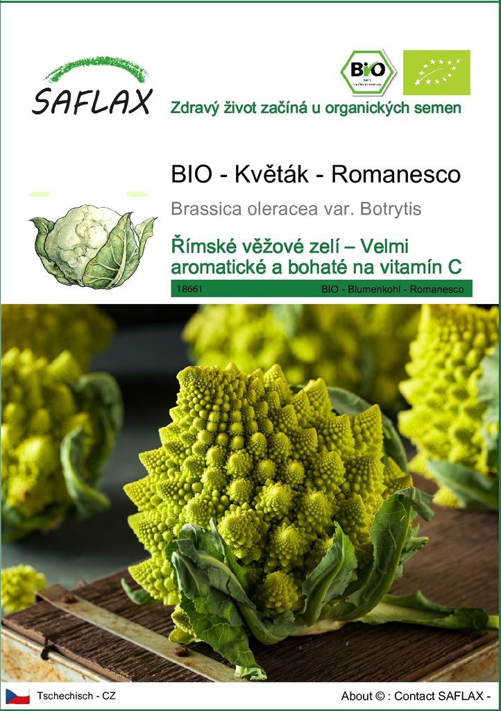 SAFLAX - BIO - Květák - Romanesco - Brassica oleracea var. Obrázek produktu 