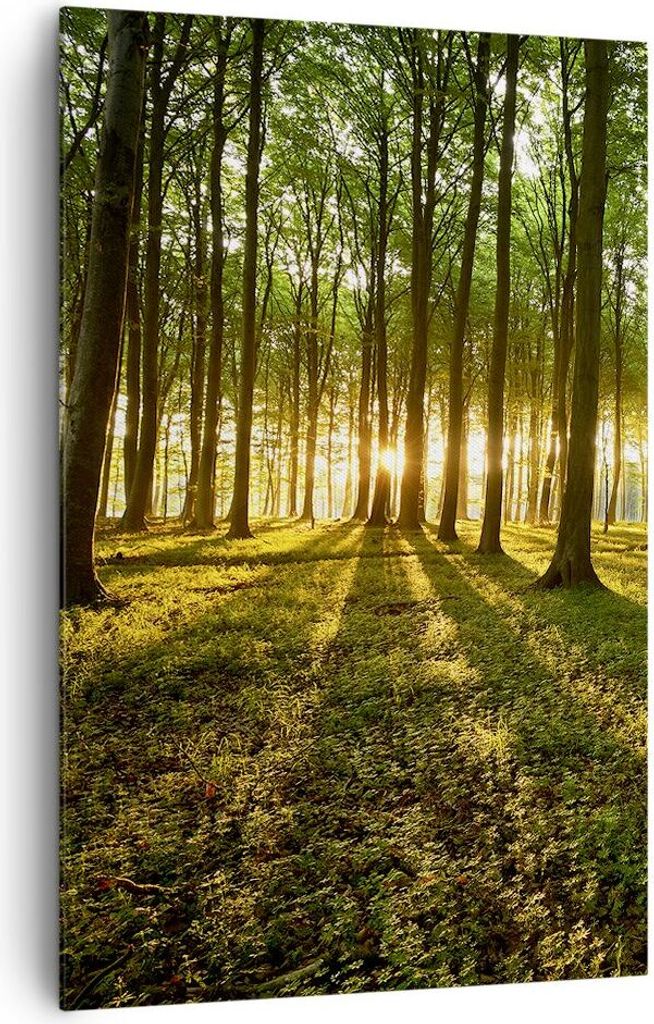 Bild auf Leinwand - Leinwandbild - Einteilig - Wald grün Sonnenstrahlen Natur - 80x120cm - Wand Bild - Wandbilder - Leinwanddruck - Wanddekoration...