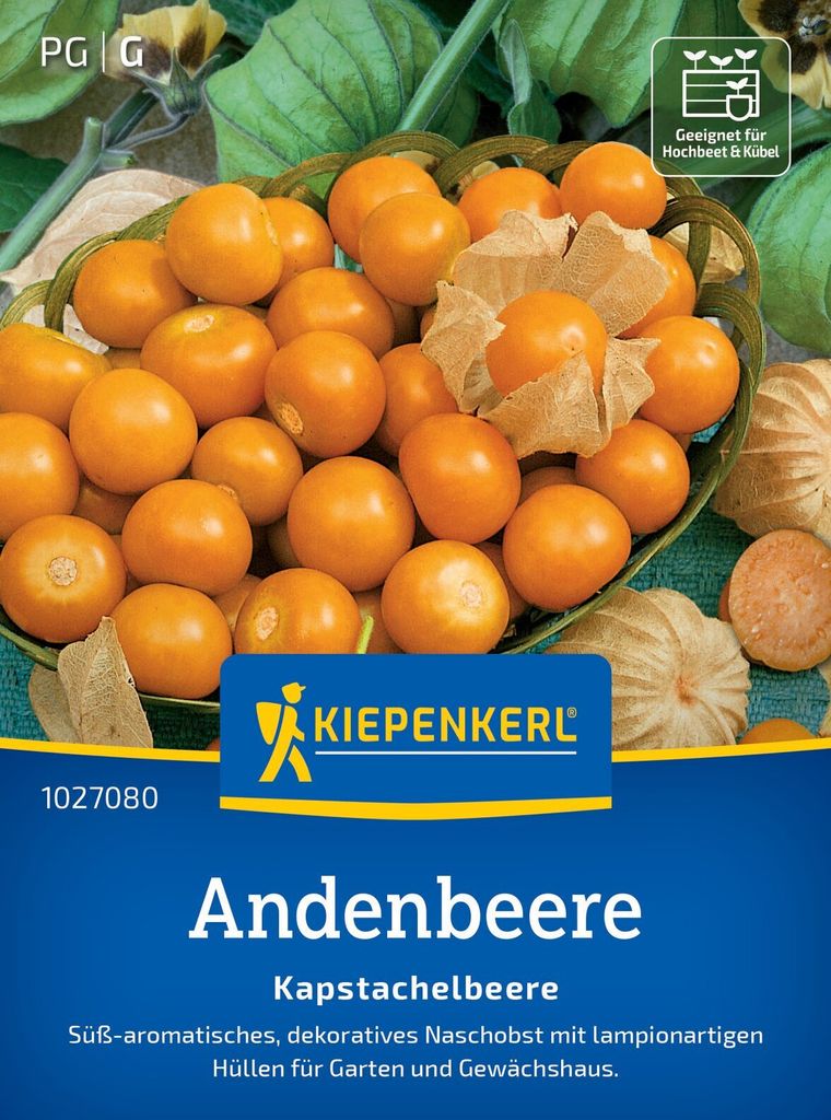 Kiepenkerl Andenbeerensamen Kapstachelbeere Physalis peruviana 40 Pflanzen