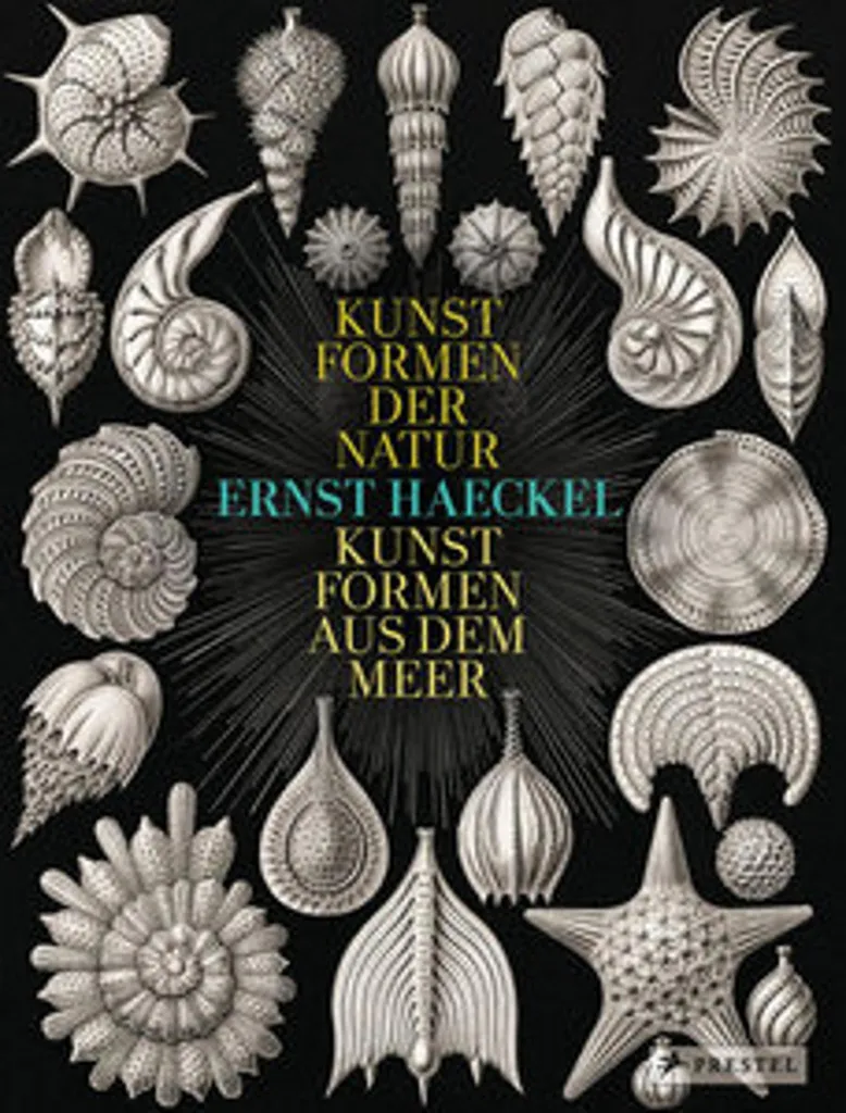 Décoration Bureau Ernst Haeckel Idée Cadeau Passionnés Sciences Naturelles