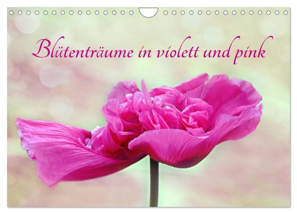 Blütenträume in violett und pink (Wandkalender 2027 DIN A4 quer), CALVENDO Monatskalender