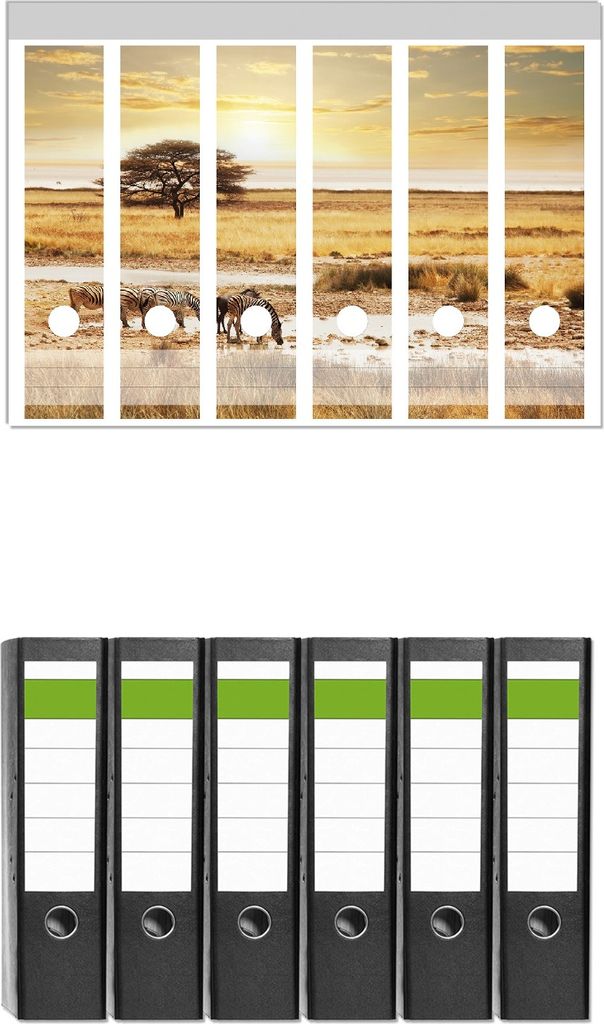 Wallario 6 Stück breite Ordner inkl. Klebeetiketten mit Motive Safari in Afrika eine Herde Zebras am Wasser - Set mit Rückenschildern / Ordnerrü...