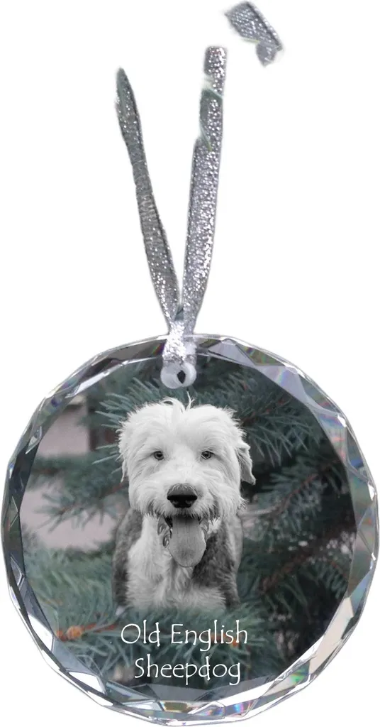 Memoriale Cristallo Pastore Inglese Antico Personalizzato Art-Dog