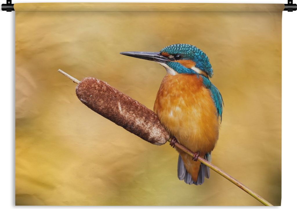 MuchoWow Wandteppich Wandbehang Eisvogel - Natur - Vogel 60x45 cm Tapisserie Dekoration Wandtuch - Das Schlafzimmer