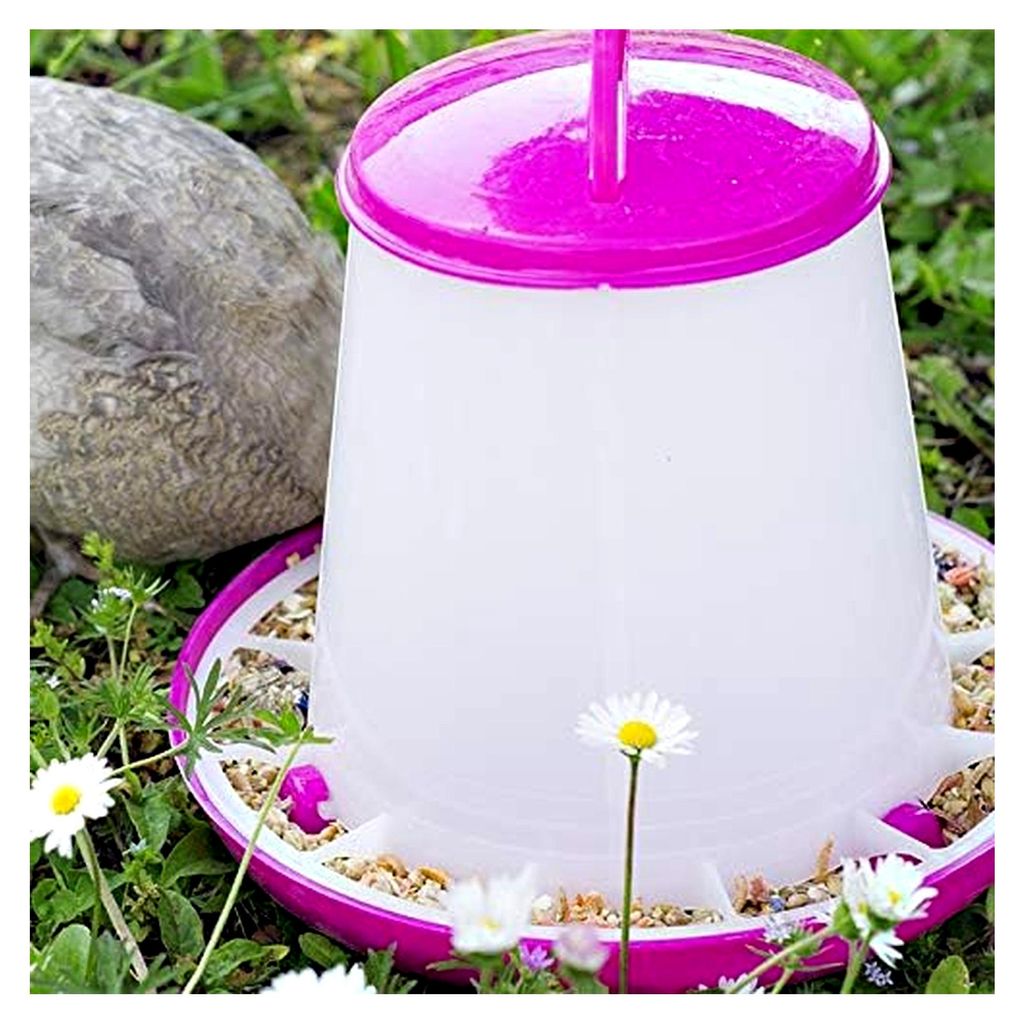 Futterautomat 1 kg - Himbeere - für Wachteln, Hühner, Geflügel, Enten, Gänse und Fasane