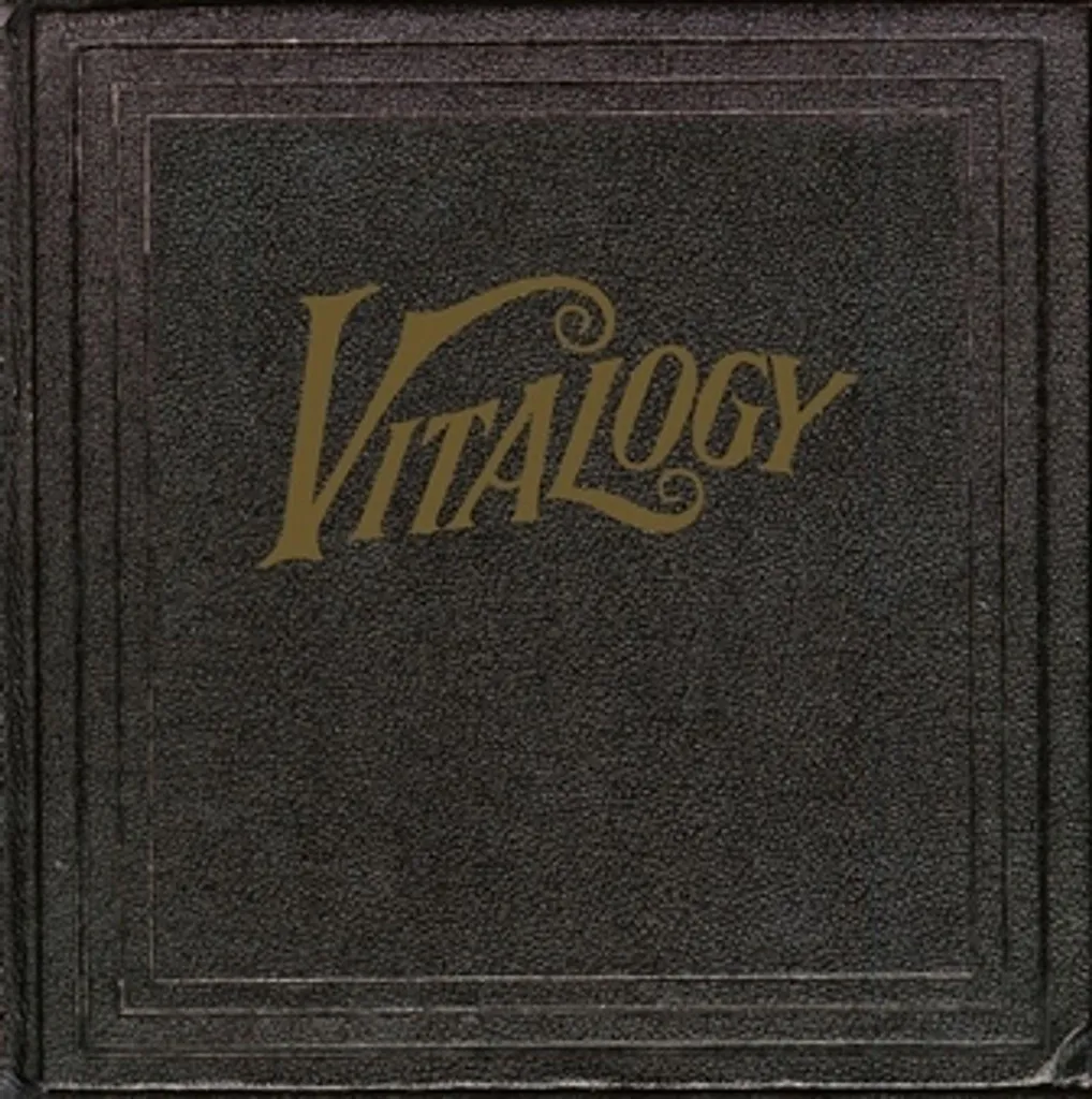 Album vinyle Pearl Jam Vitalogy version remasterisée son haute fidélité