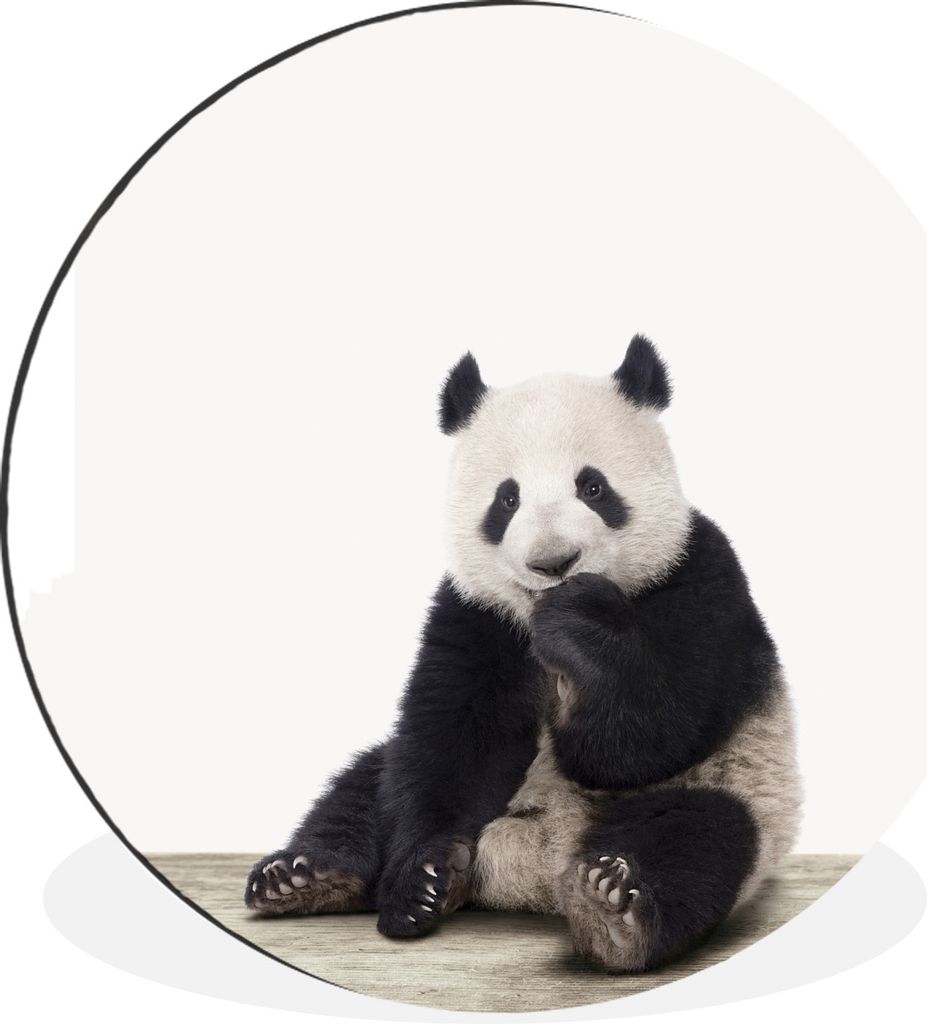 MuchoWow Aluminium Wandkreis Tiere - Panda - Schwarz - Weiß Ø 30 cm Wanddeko Modern Wohnzimmer - Wand Bild - Wohnzimmer - Runde Bilder - Alubil...