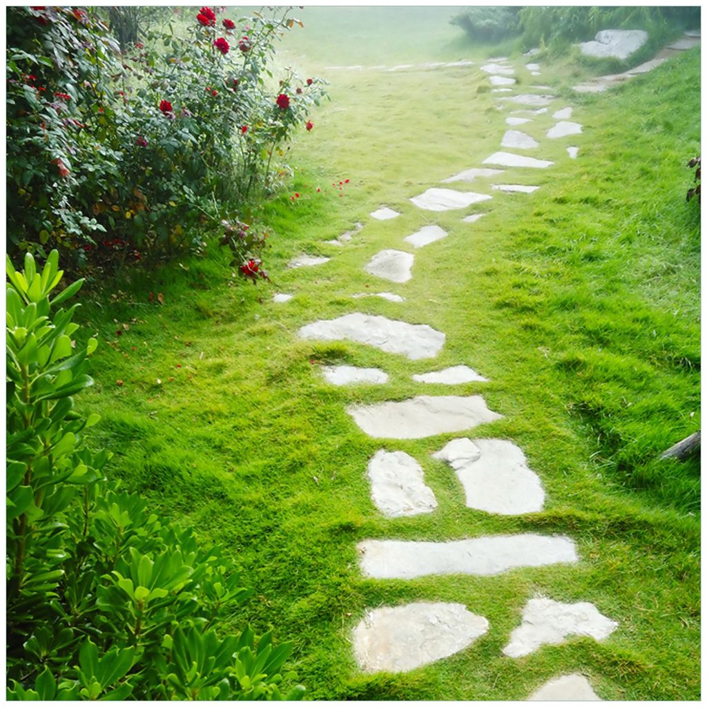 Wallario Sticker / Aufkleber für Kühlschrank / Geschirrspüler / Küchenschränke, selbstklebende Folie - 60 x 60 cm, Motiv: Steinweg im Grünen