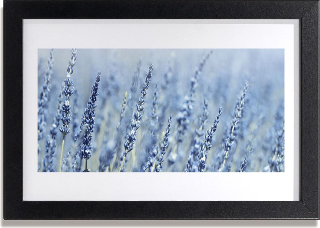 Bild 30x20 MDF-Rahmen Wandkunst Blumen Wiese Natur Ohren