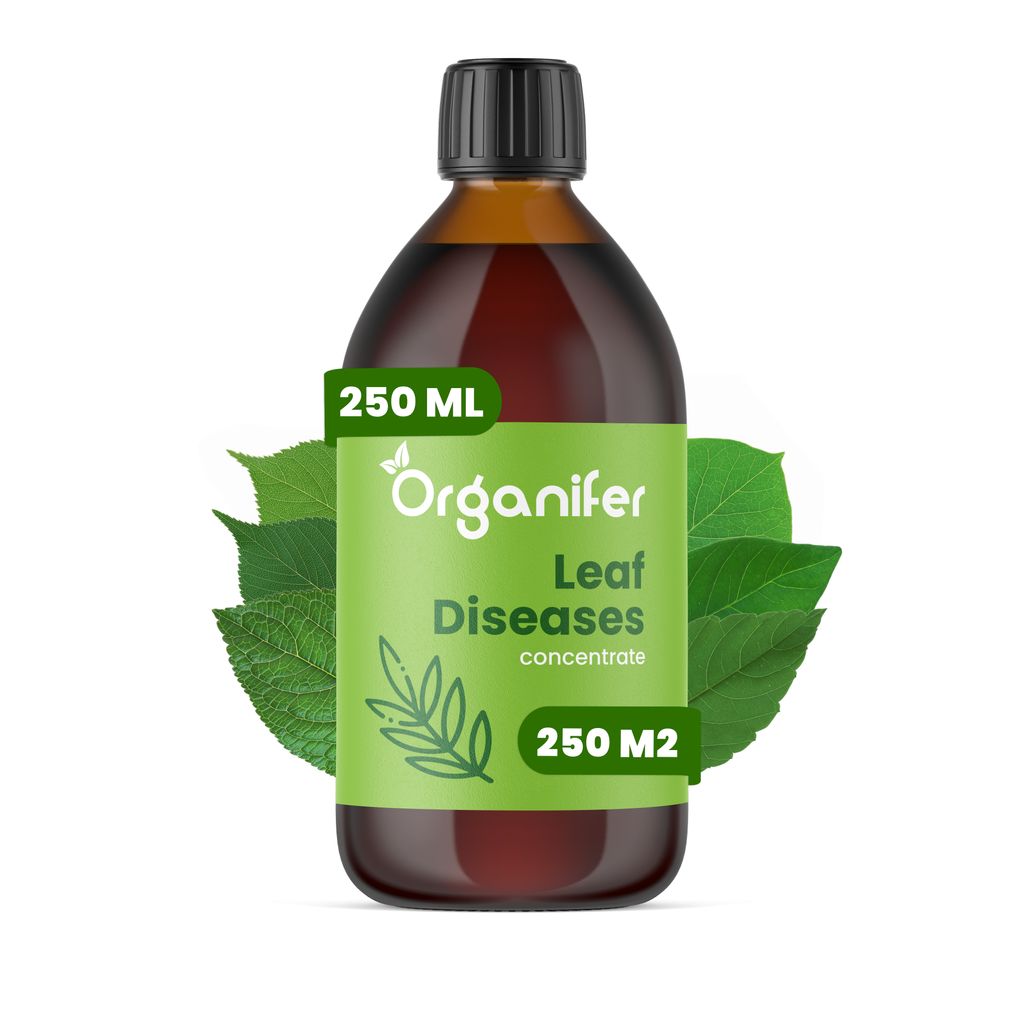 Leaf Diseases Blattkrankheiten-Konzentrat - 250 ml für 250 m2- Organifer