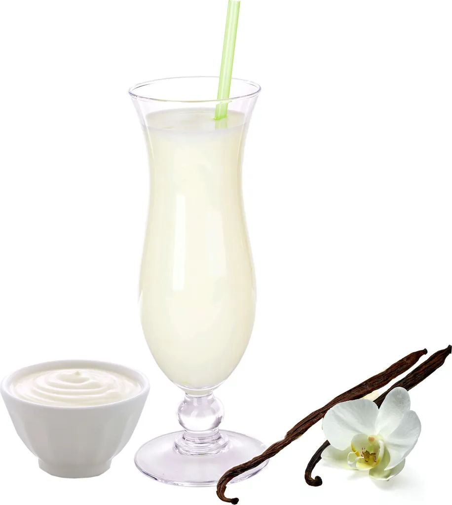 Yogurt in polvere alla vaniglia 333 g