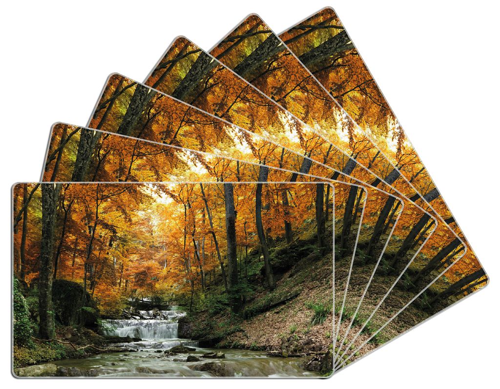 Wallario Frühstücksbrettchen 6er Set aus Glas, je 14 x 23 cm, mit rutschfesten Füßen, Motiv Kleiner Bach über Steine im Herbstwald