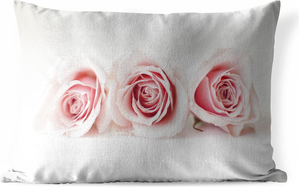 MuchoWow Outdoor Kissen - Studioaufnahme von drei rosa Rosen nebeneinander - 60x40 cm - Wetterfest - Lounge Kissen - Zierkissen - Kissen für Inn...