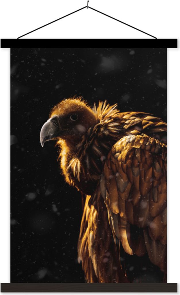 MuchoWow Textilposter Geier - Vogel - Raubvogel 120x180 cm mit schwarzem Rahmen - Fotos