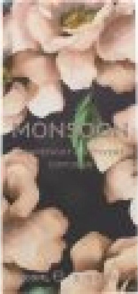 Monsoon Grapefruit & Vetiver Diffuser 200ml