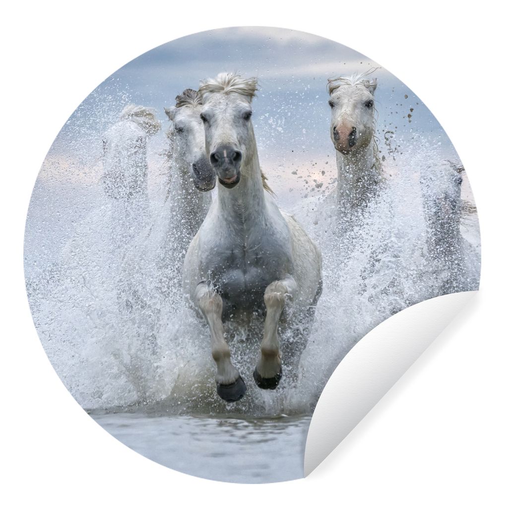MuchoWow Runde Wandtattoo - Wandsticker Tapete Aufkleber Eine Herde weißer Pferde galoppiert durch das Wasser in der Camargue Ø 80 cm Selbstkle...
