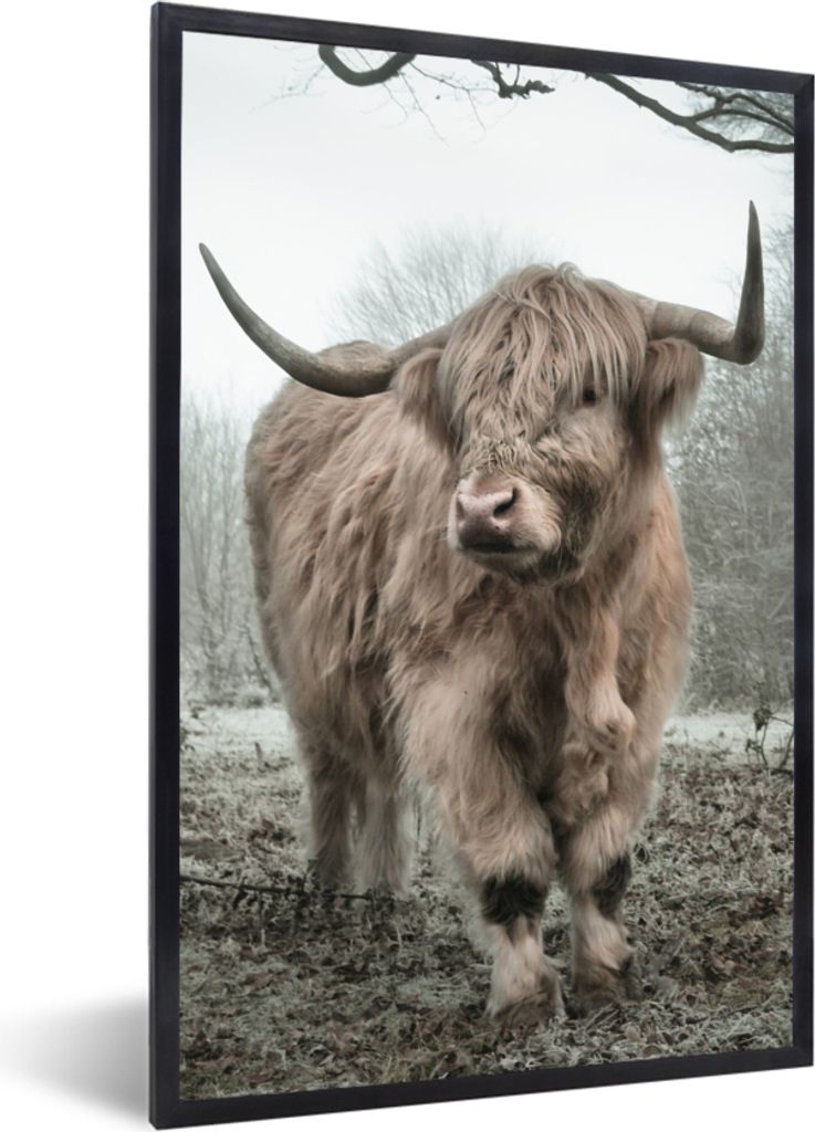 MuchoWow Gerahmtes Poster Schottische Highlander - Natur - Herbst - Tiere - Wildtiere - Wald 60x90 cm - Poster mit Schwarzem Bilderrahmen Wandpos...
