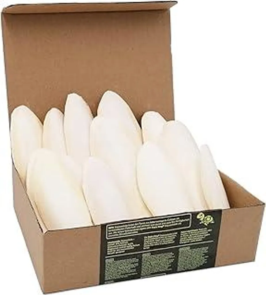 Set 12 Ossa di Seppia Premium - Calcio Naturale per Animali Esotici