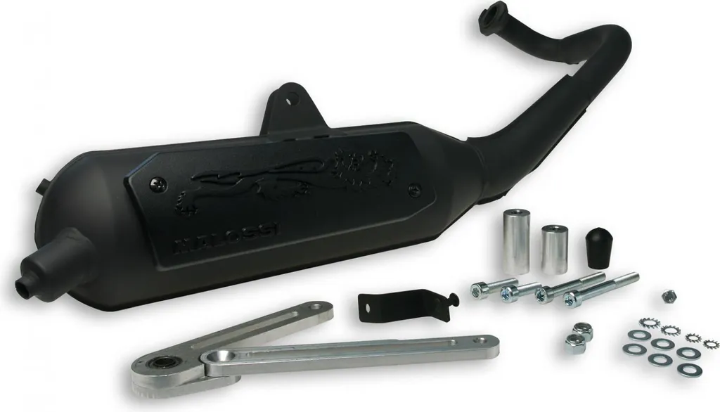 Échappement Haute Résistance Malossi Wild Lion pour Kymco Agility 50