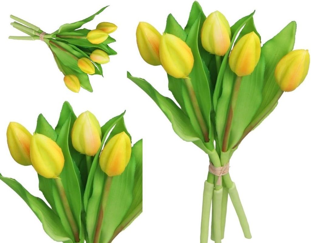 Tulpen Bouquet Von Tulpen Gummi Abgedeckt Wie Das Leben