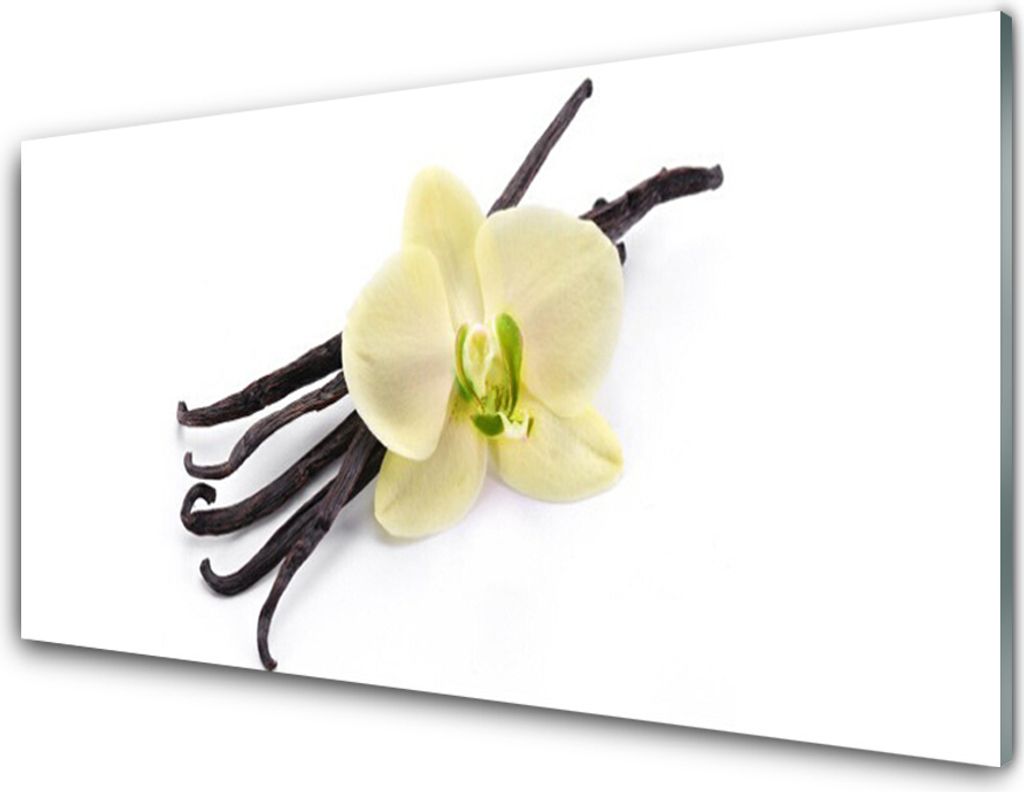 Küchenrückwand aus Glas 100x50cm Spritzschutz Blume Pflanzen