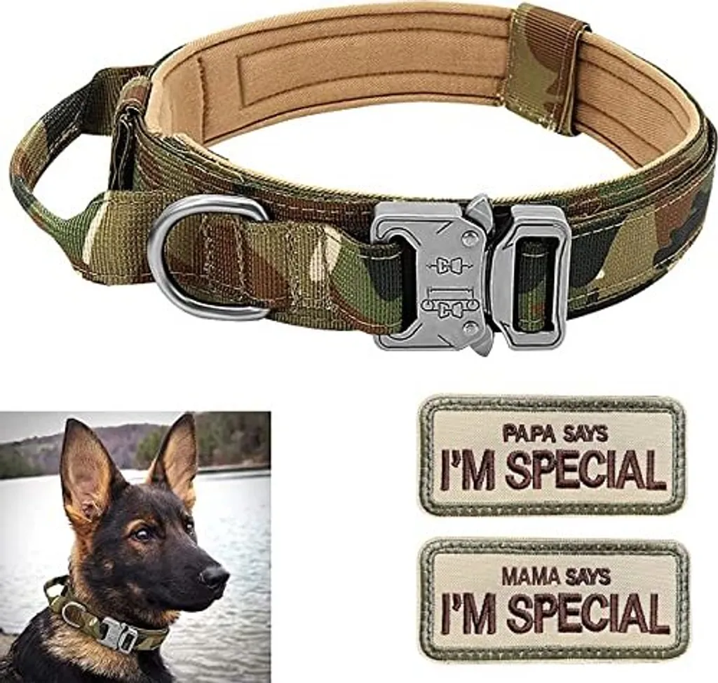 Collare Tattico Verde Militare con Fibbia Metallo Taglia M per Cani