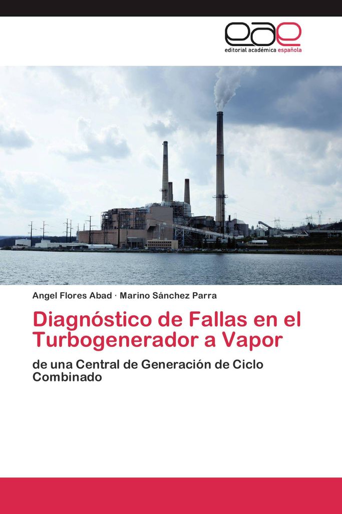 Fehlerdiagnose bei Dampfturbinengeneratoren