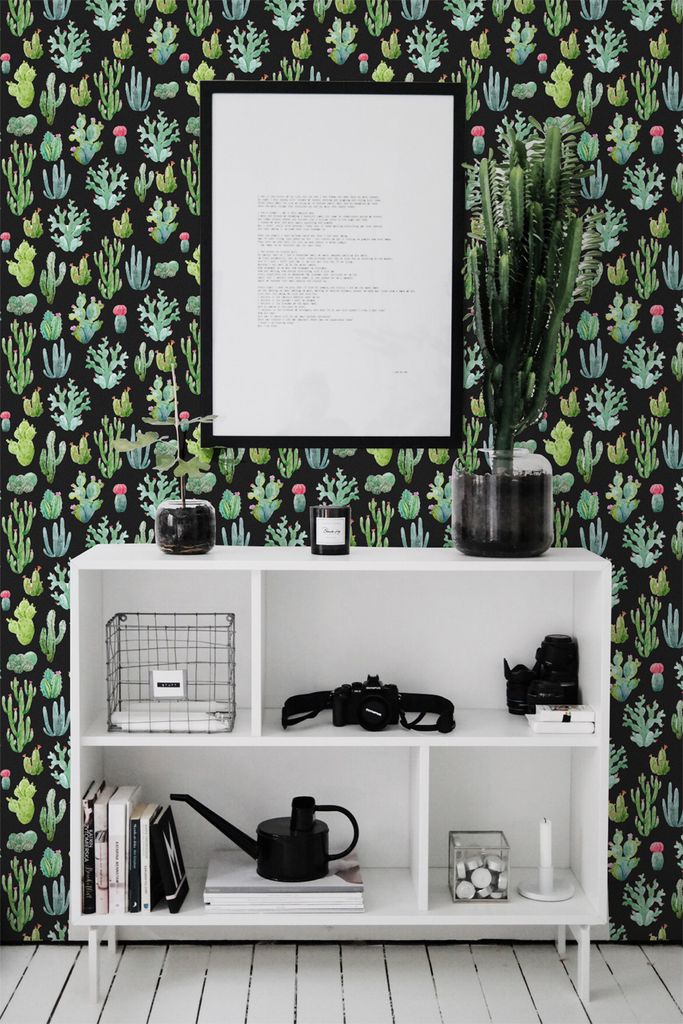 Coloray Fototapete 250x104 cm Latextapete Magicstick - Winzige Kakteen Pflanzen helle Blätter