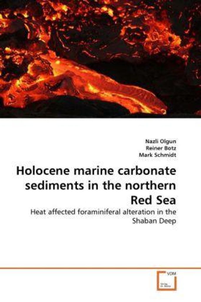 Olgun, N: Holocene marine carbonate sediments in the norther