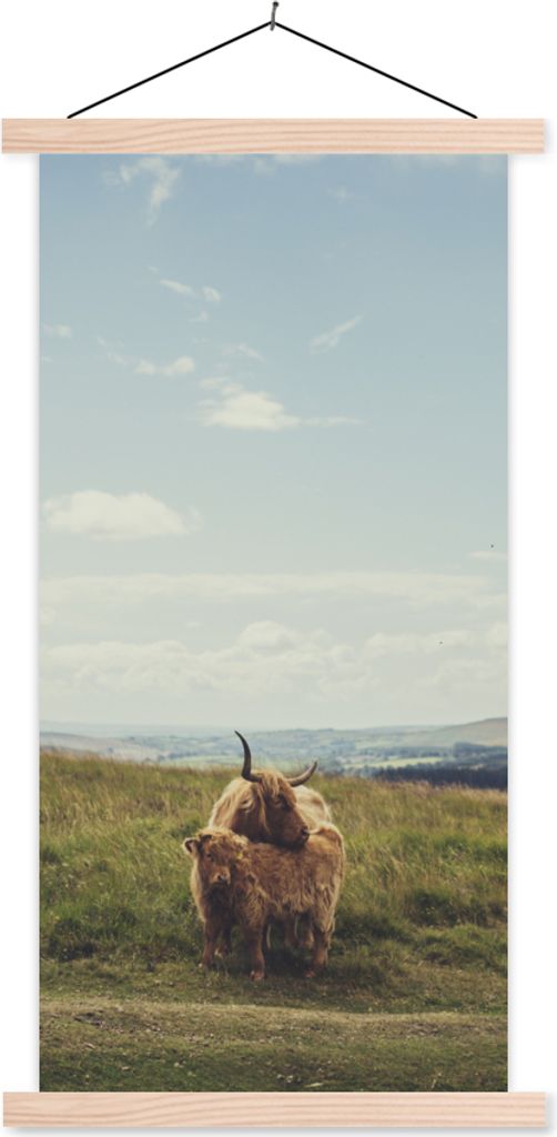 MuchoWow Textilposter Schottische Hochlandrind - Gras - Wolken - Tiere 40x80 cm mit holzfarbenen Rahmen - Wohnzimmer