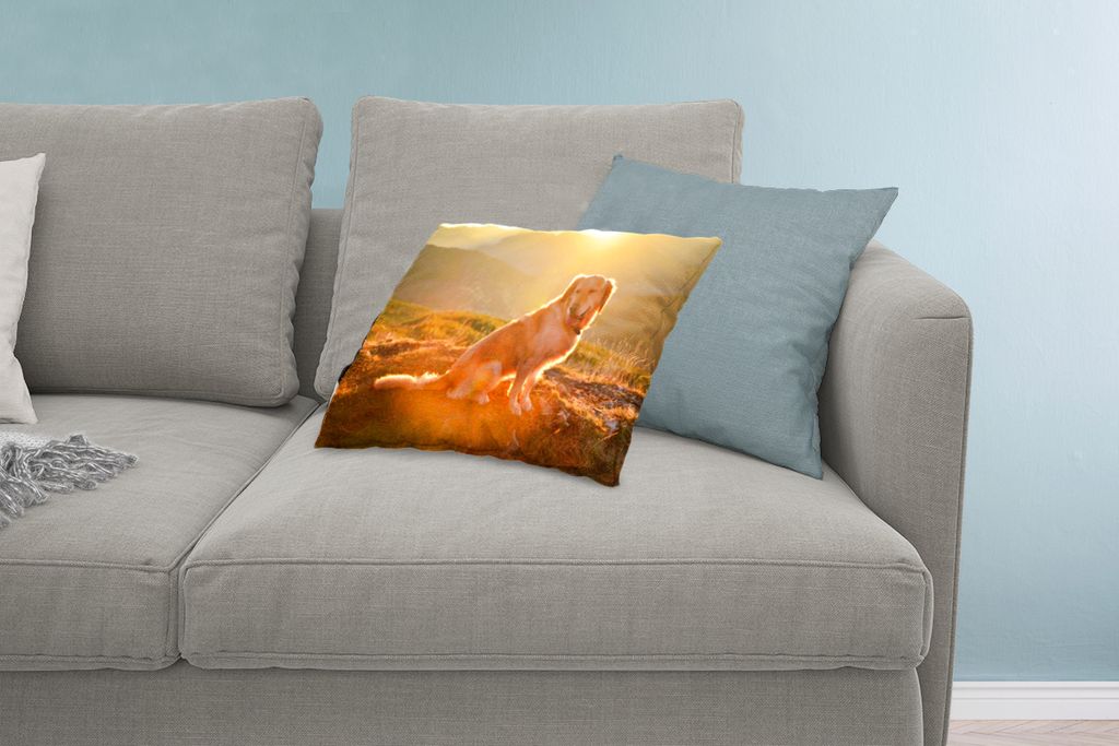 MuchoWow Zierkissen Sofakissen Wohnzimmer Dekokissen 60x40 cm Sonnenstrahlen glänzen über einem Golden Retriever - Kopfkissen - Polster mit Foto