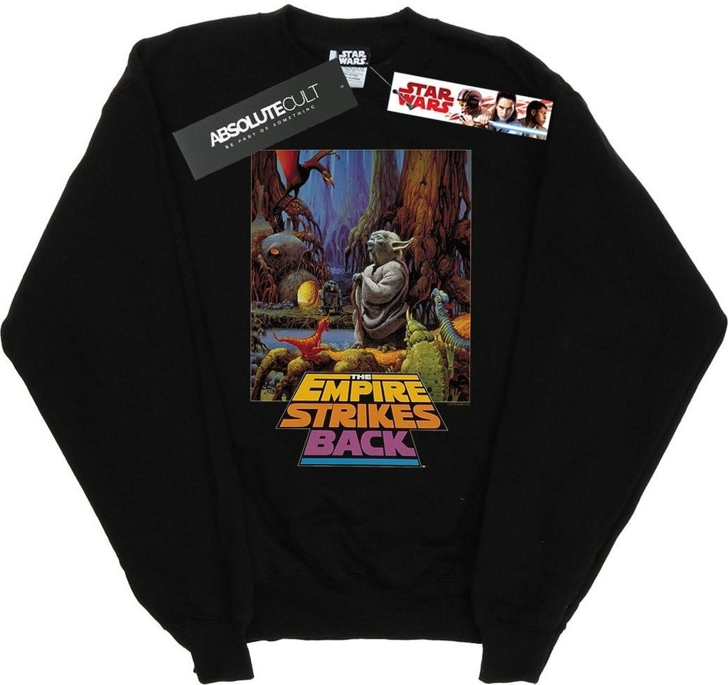 Star Wars - Sweatshirt für Herren BI45586 (L) (Schwarz)