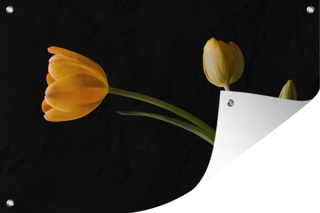 MuchoWow 120x80 cm Outdoor-Poster Gartendeko Sichtschutz Garten Poster für den Garten Gelbe Tulpen auf schwarzem Hintergrund