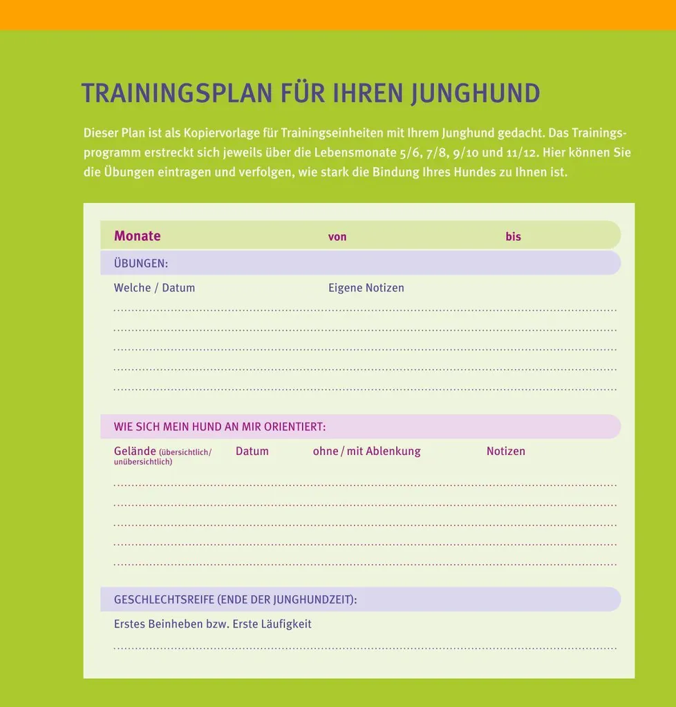 Guide Éducation Chiot : Méthode Complète Welpen-Erziehung pour Débutant