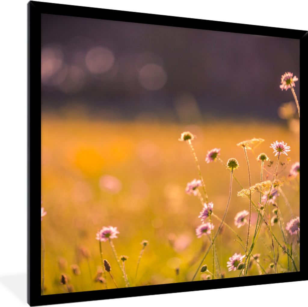 MuchoWow Gerahmtes Poster Blumen - Hell - Rosa 40x40 cm - Poster mit Schwarzem Bilderrahmen Wandposter Rahmen Foto Bilder - Mit Rahmen - Wanddeko...