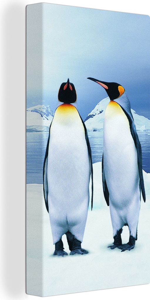 MuchoWow® - Leinwandbilder - Drei Pinguine Porträt, Produktbild 