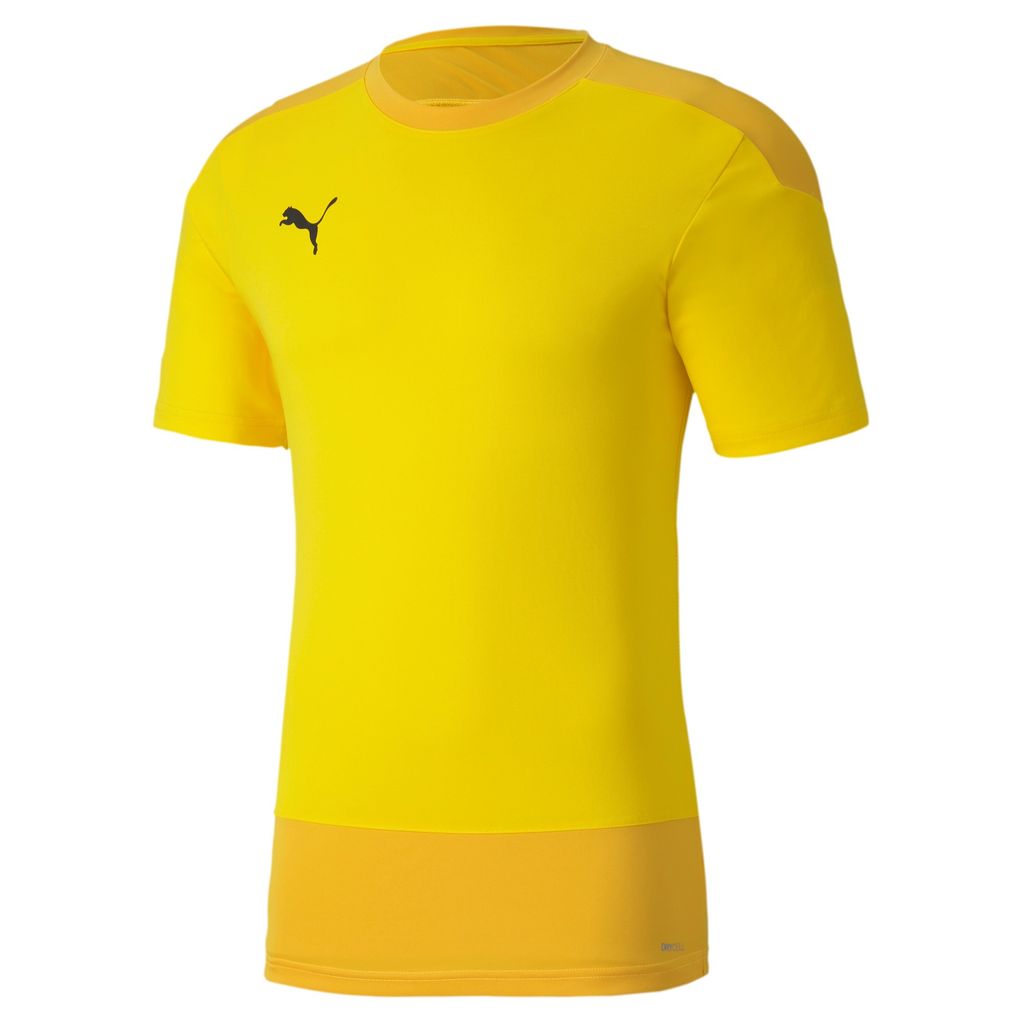 Puma teamGOAL 23 Training Jersey Produktbild 