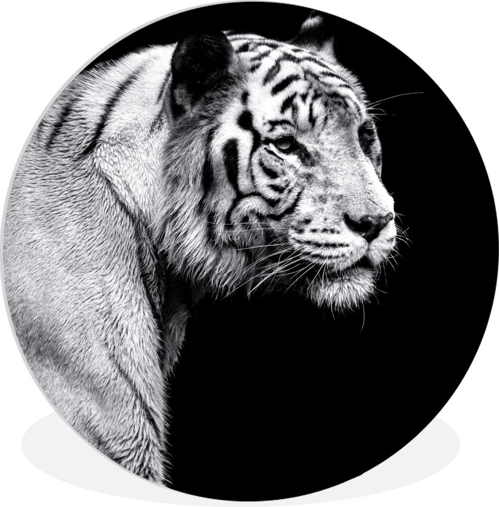 MuchoWow Rundes Wandbild - Runde Bilder Tierprofil Tiger in schwarz und weiß Ø 30 cm Kreis Wanddekoration Kunststoff - Wandkreis - Wandschmuck ...
