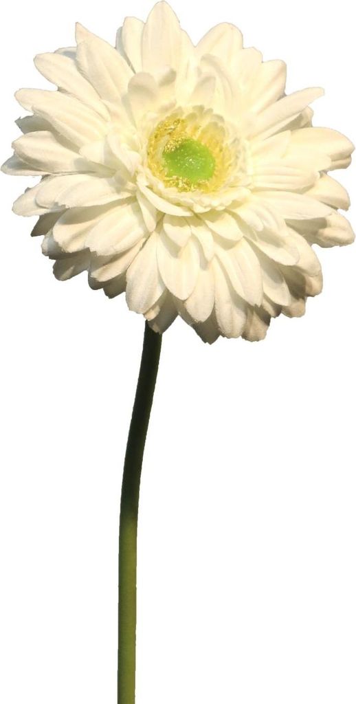 artplants.de Künstliche Blume Gerbera QIUDONG, Creme, 50 cm - Künstliche Stielblume