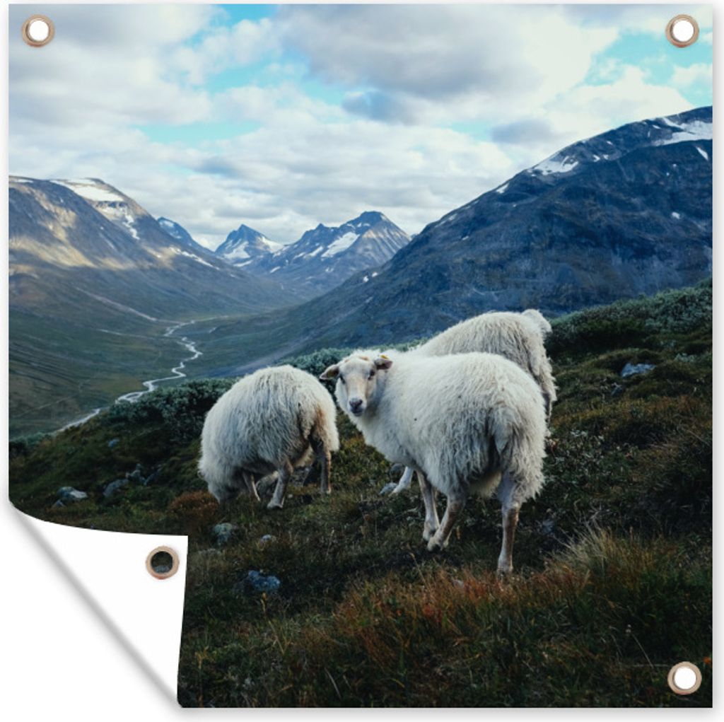 MuchoWow 100x100 cm Outdoor-Poster Gartendeko Sichtschutz Garten Poster für den Garten Schafe - Natur - Berge