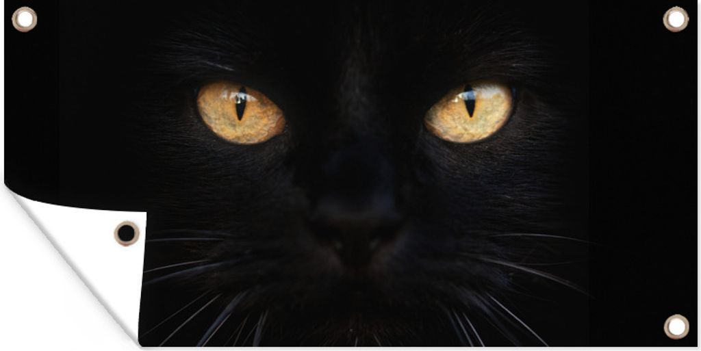 MuchoWow 80x40 cm Outdoor-Poster Gartendeko Sichtschutz Garten Poster für den Garten Nahaufnahme einer schwarzen Katze