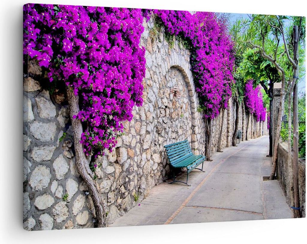 Bild auf Leinwand - Leinwandbild - Pflanzen Bank Straße Sommer - 70x50cm - Wand Bild - Wanddeko - Leinwanddruck - Bilder - Kunstdruck - Wanddekora...
