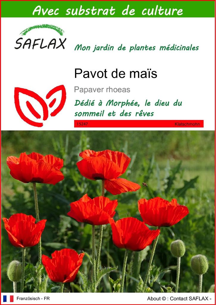 SAFLAX  - Pavot de maïs - 27000 graines - Avec substrat - Image du produit 