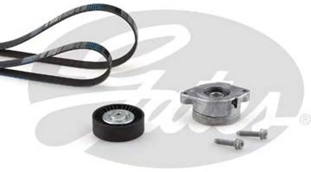 Set Cinghie GATES K306PK1148 OE Ford Galaxy | Massima Affidabilità